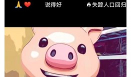 一只光头鹅爆料视频,揭秘幕后真相